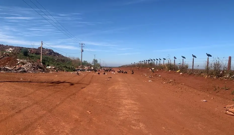 Descarte irregular de lixo é crime e prejudica a saúde de todos os guairenses