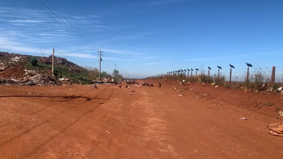 Descarte irregular de lixo é crime e prejudica a saúde de todos os guairenses
