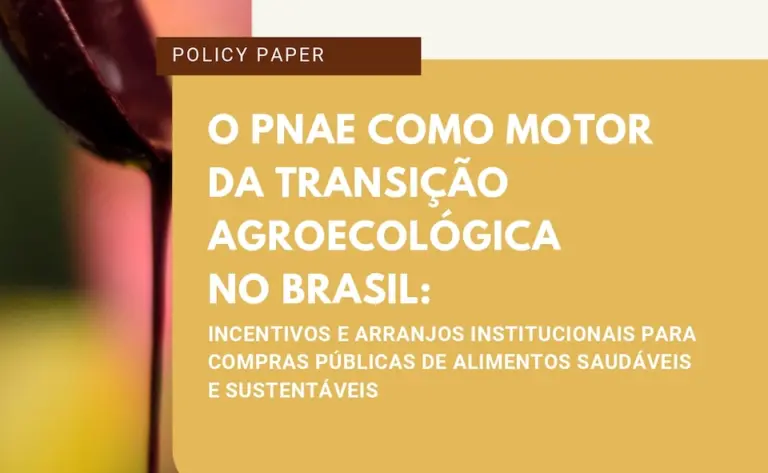 Estudo revela caminhos para uma alimentação mais saudável e sustentável nas escolas públicas