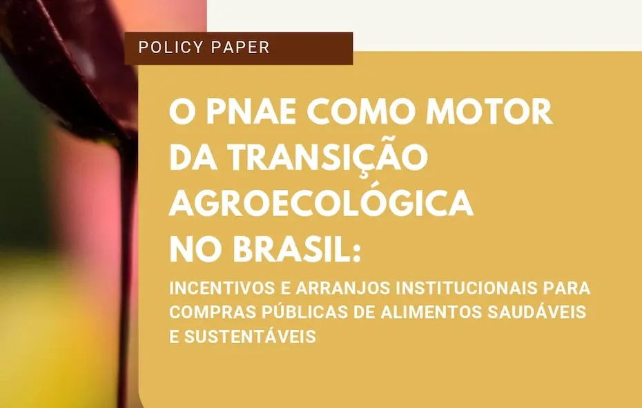 Estudo revela caminhos para uma alimentação mais saudável e sustentável nas escolas públicas