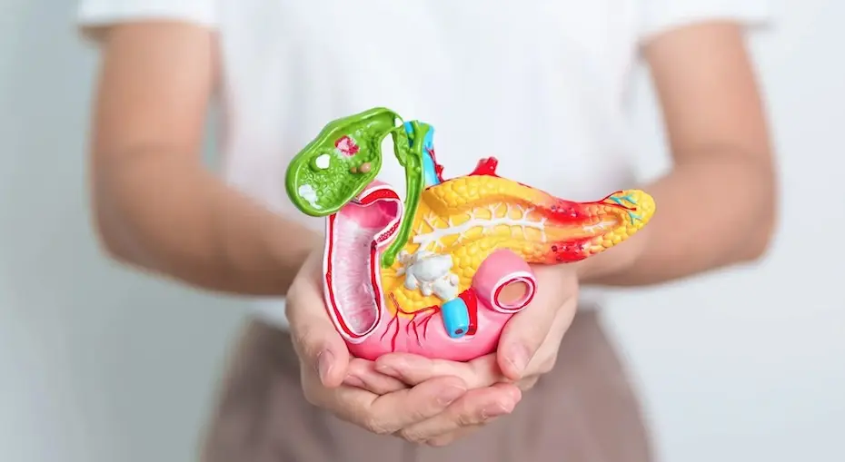 Novembro Roxo: 5 hábitos alimentares que ajudam a prevenir o câncer de pâncreas