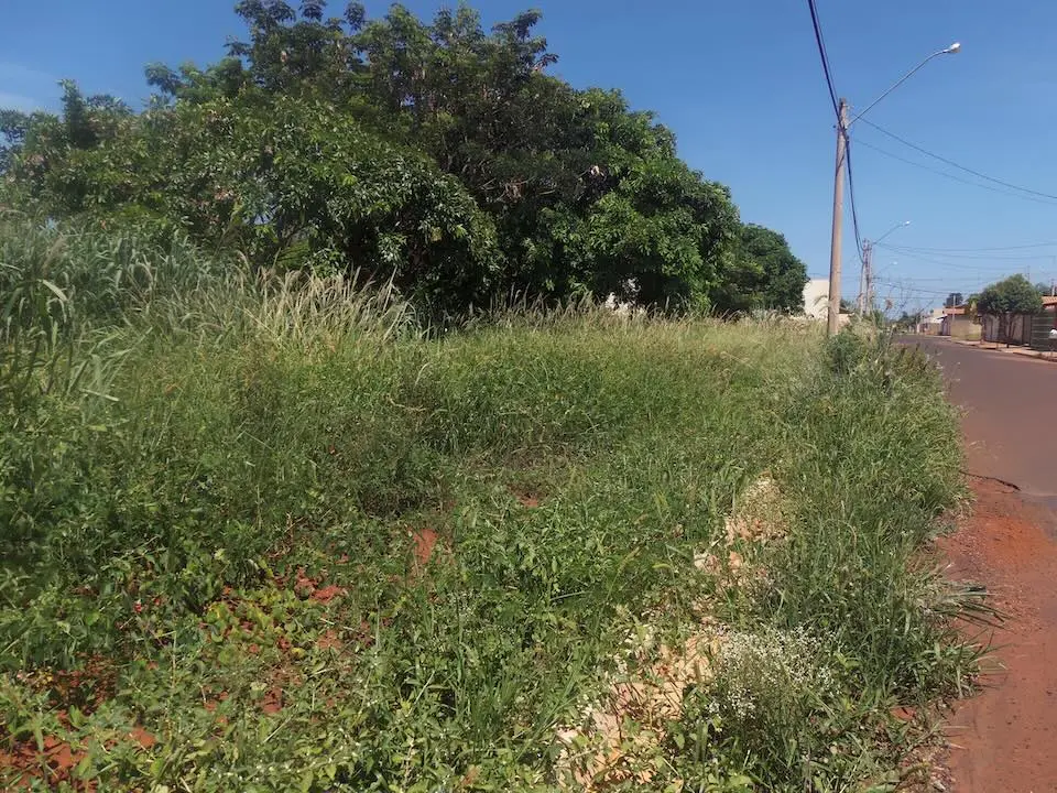 Prefeitura notifica proprietários para limpeza urgente de terrenos