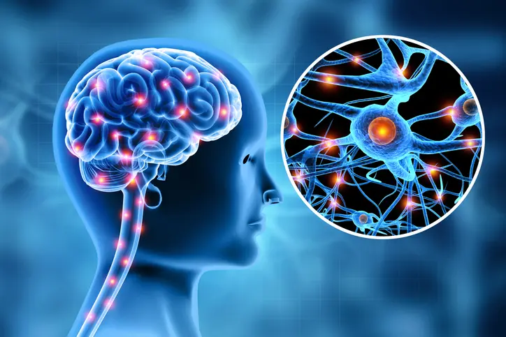 Neuralgia x neurite: o que são, sintomas, causas e como identificar cada condição de saúde