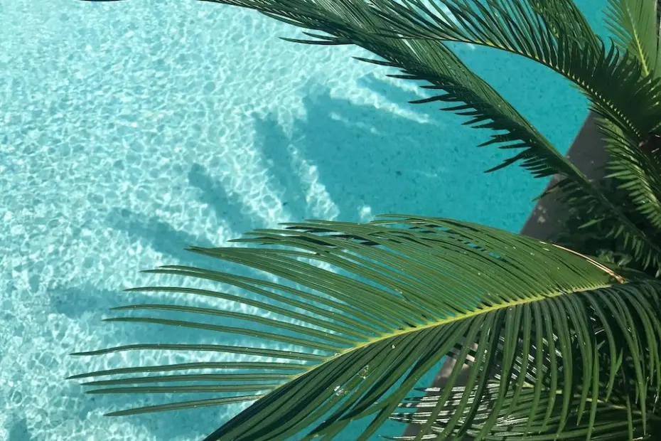 Resort em Olimpia x hotel tradicional: quais as diferenças na experiência de viagem?