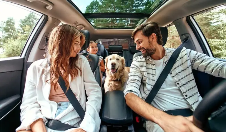 Decolar indica opções de hospedagens para viagens com pets