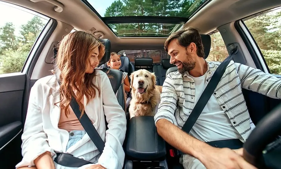 Decolar indica opções de hospedagens para viagens com pets