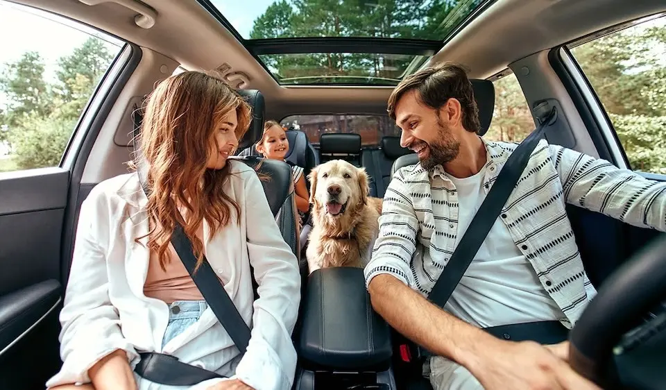 Decolar indica opções de hospedagens para viagens com pets