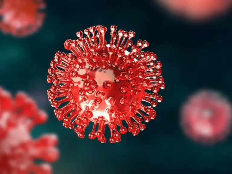 Entenda o que acontece em casos de superbactéria e quais são os riscos em ambientes hospitalares