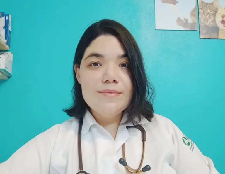 Quais vacinas um cachorro precisa tomar?