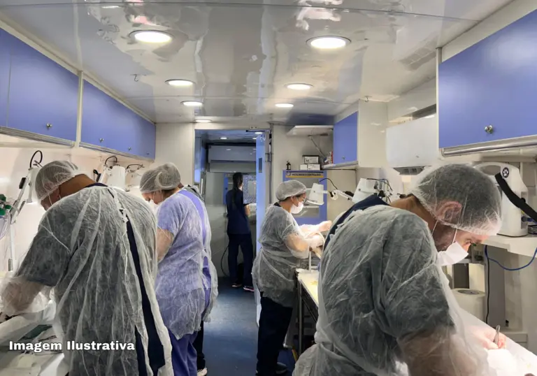 Mutirão de castração em Guaíra acontece dia 28; saiba como se cadastrar para próximas vagas