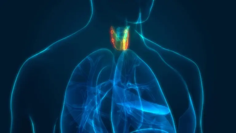 Radioterapia pode ser curativa em pacientes com câncer de esôfago inicial e localmente avançado