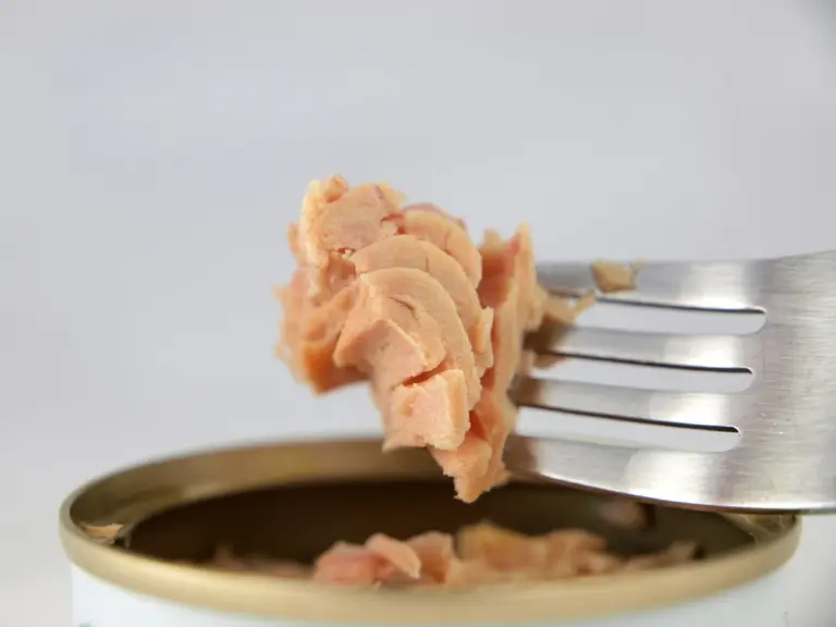 Alimentos enlatados ricos em proteínas são acessíveis e fornecem também outros nutrientes