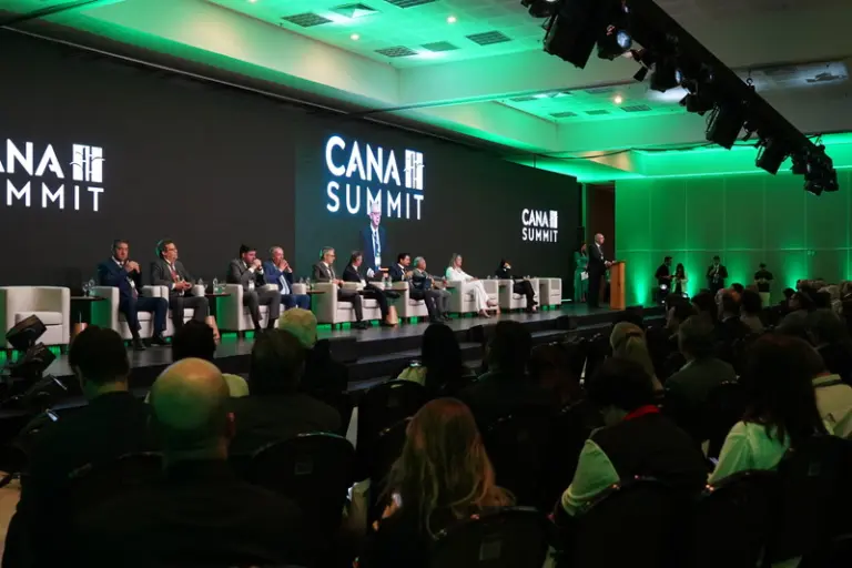 Juros elevados e crédito mais restrito colocam fluxo de investimentos na cana em debate