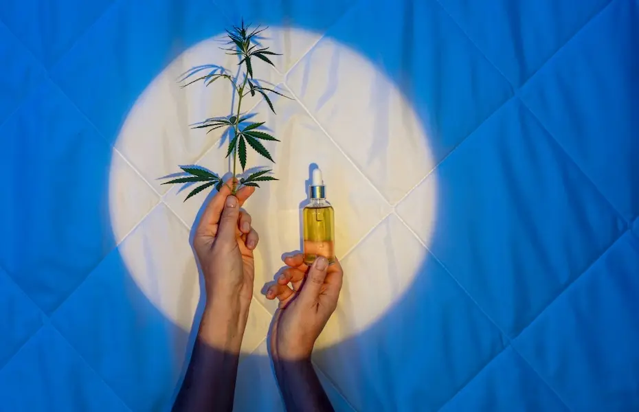 A revolução do Bem-Estar: como o CBD está a transformar o cotidiano e o comércio em Portugal