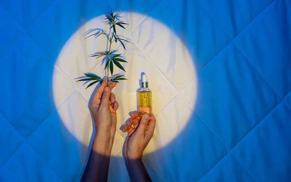 A revolução do Bem-Estar: como o CBD está a transformar o cotidiano e o comércio em Portugal