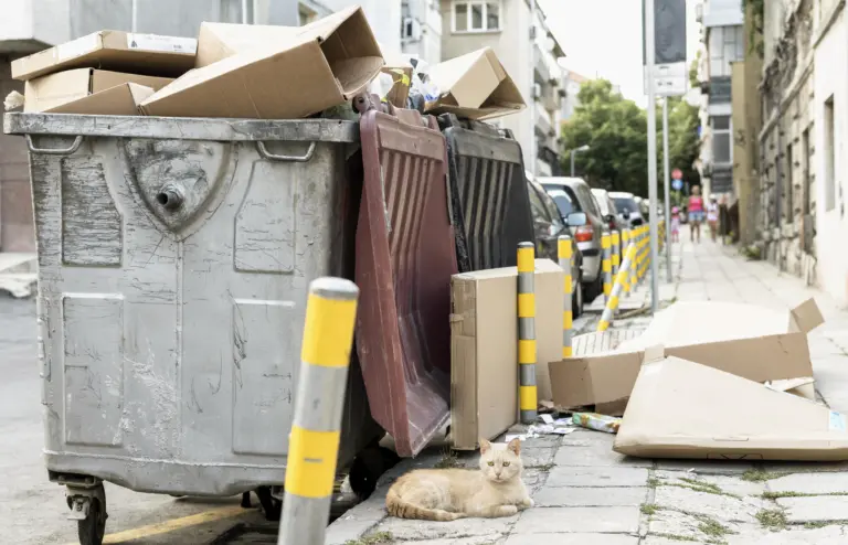 Atenção ao uso correto de caçambas de entulho