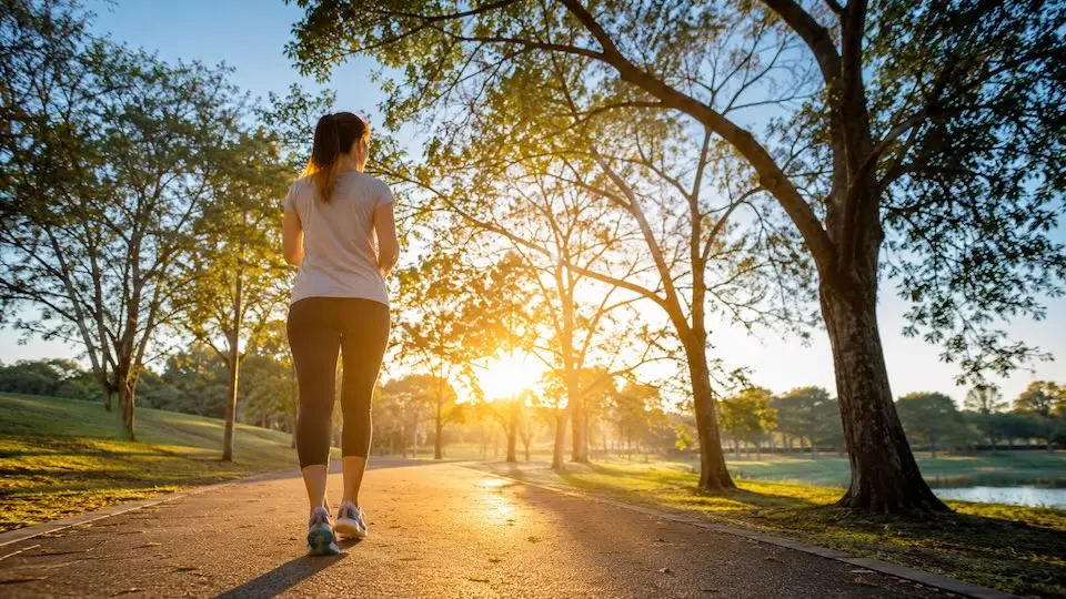 Pessoa caminhando em um parque arborizado durante o nascer do sol, representando hábitos saudáveis e qualidade de vida