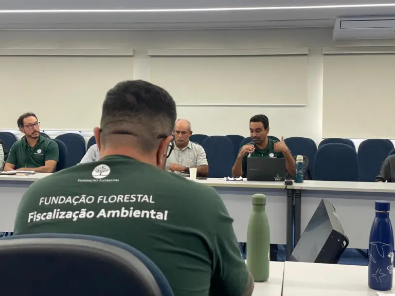 Governo de São Paulo abre concurso público inédito com 70 vagas por meio da Fundação Florestal