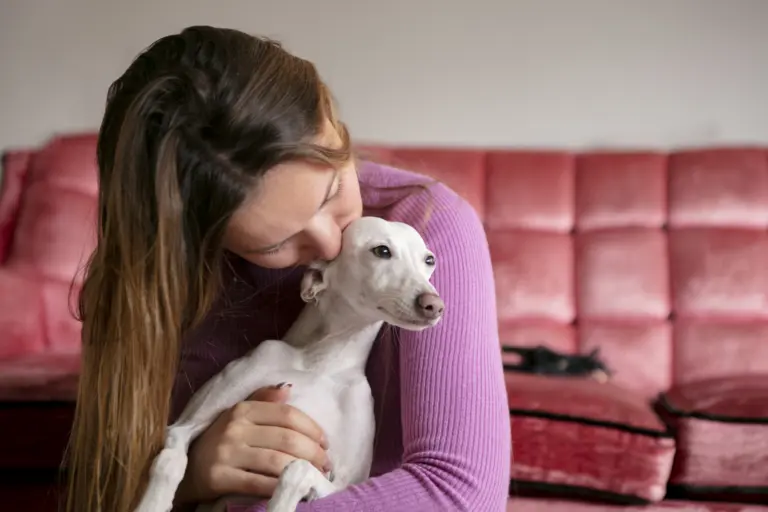 Quem fica com o pet no divórcio? Veja o que a nova lei passou a prever