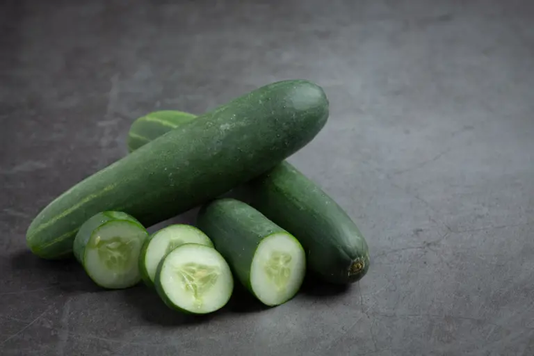 Soluções nutritivas: como a semi-hidroponia está transformando a produção do pepino japonês?
