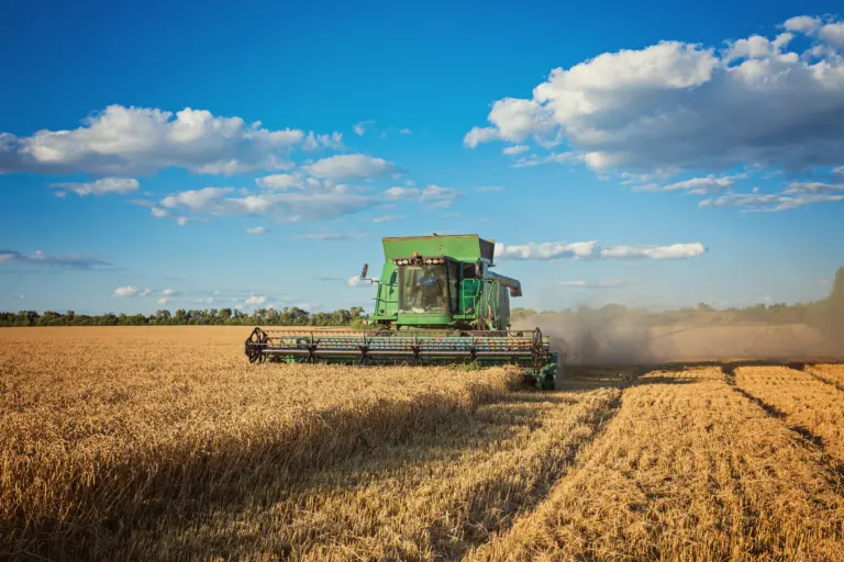 Mais da metade dos setores do agro registra queda e abril fecha com saldo negativo de empregos