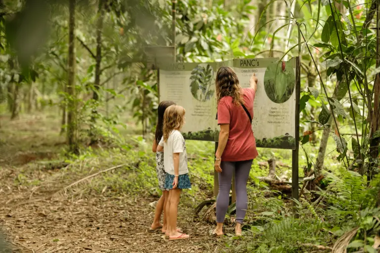 Como a natureza pode fortalecer vínculos durante o período de férias