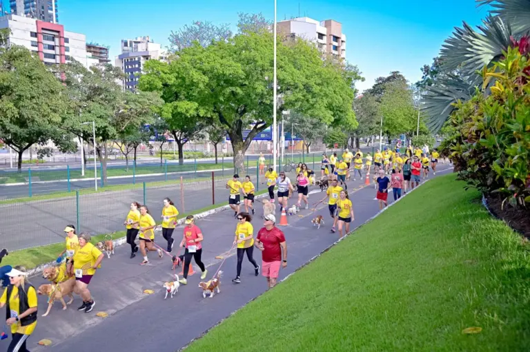 Patinhas em movimento: atenção aos cuidados antes, durante e depois dos exercícios com os pets