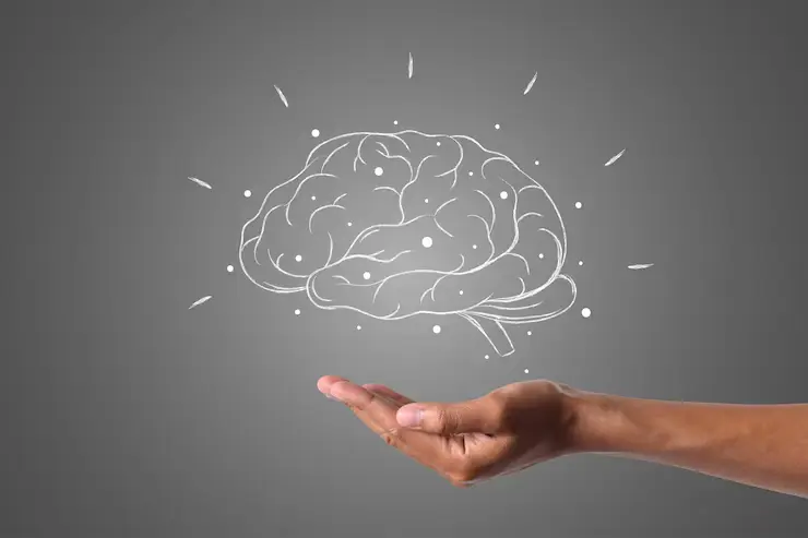 Estudo revela como o cérebro influencia o perfeccionismo: vilão ou virtude?