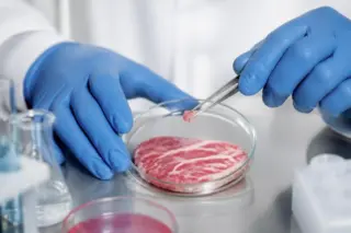 Mãos com luvas azuis seguram pequena amostra de carne com pinça sobre uma placa de Petri contendo um bife fino; frascos e tubos de ensaio ao redor