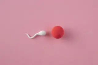 Objeto branco em forma de espermatozoide ao lado de uma esfera vermelha sobre fundo rosa