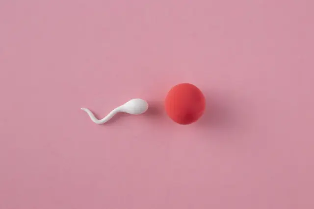 Objeto branco em forma de espermatozoide ao lado de uma esfera vermelha sobre fundo rosa