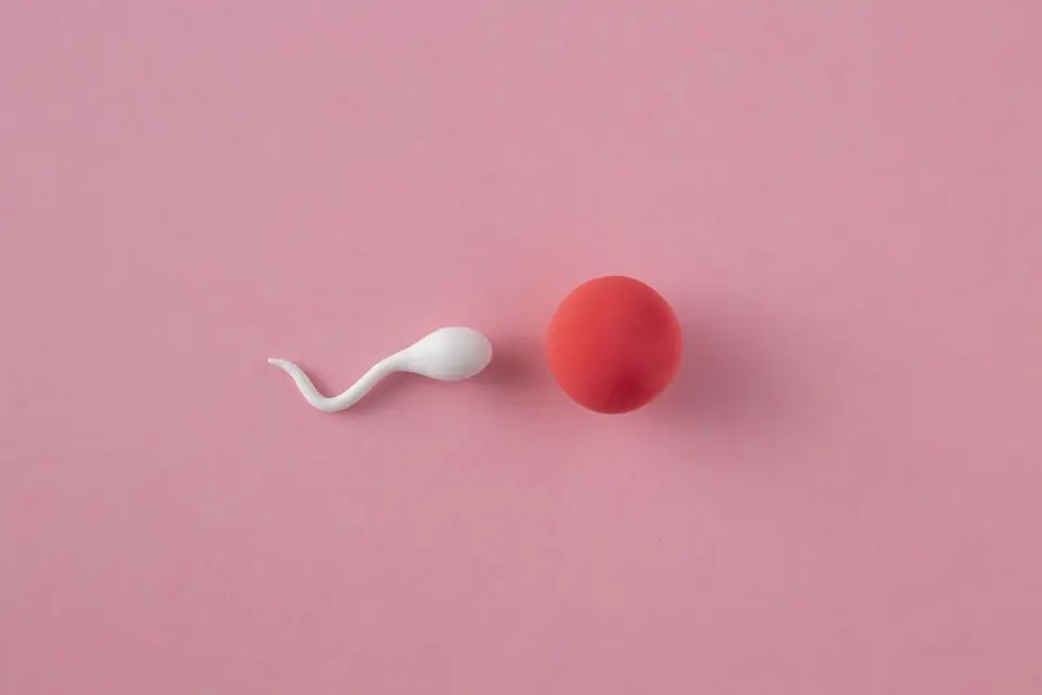Objeto branco em forma de espermatozoide ao lado de uma esfera vermelha sobre fundo rosa