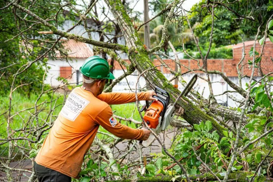 Trabalhador com capacete verde e camisa laranja usando motosserra para cortar galho de árvore próximo a rua e casas