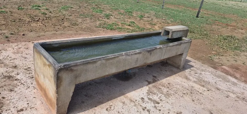 Bebedouro de concreto com água corrente em pasto razoavelmente seco