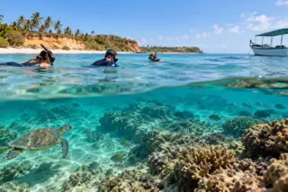 Snorkelers na superfície do mar próximos a um barco, com recife de corais, peixes e uma tartaruga marinha visíveis abaixo da água e praia com coqueiros ao fundo