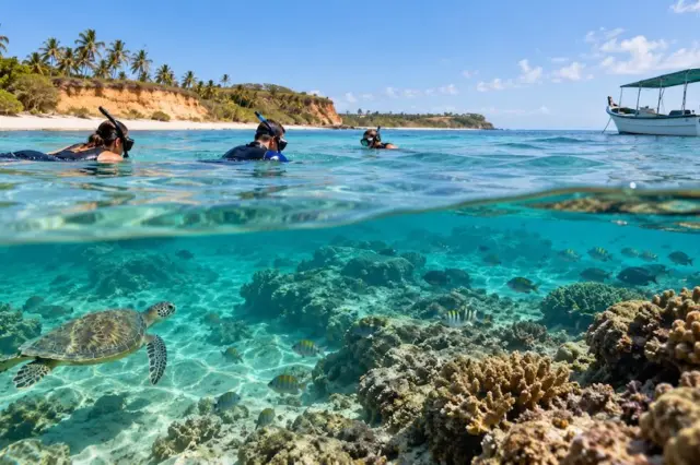 Snorkelers na superfície do mar próximos a um barco, com recife de corais, peixes e uma tartaruga marinha visíveis abaixo da água e praia com coqueiros ao fundo
