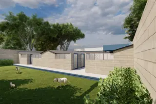 Pátio gramado de projeto de abrigo com baias de alvenaria, dois cães e um gato, muro de blocos e árvores ao fundo