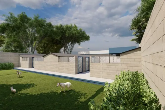 Pátio gramado de projeto de abrigo com baias de alvenaria, dois cães e um gato, muro de blocos e árvores ao fundo
