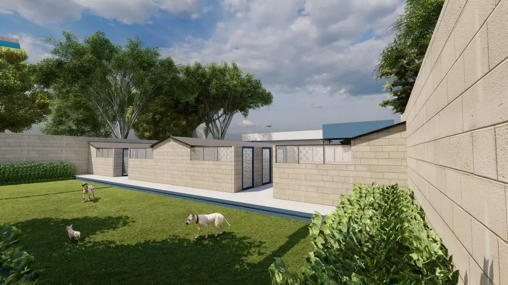 Pátio gramado de projeto de abrigo com baias de alvenaria, dois cães e um gato, muro de blocos e árvores ao fundo