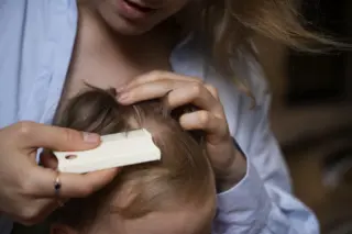 Pessoa adulta penteando e examinando o couro cabeludo de uma criança loira com pente fino branco