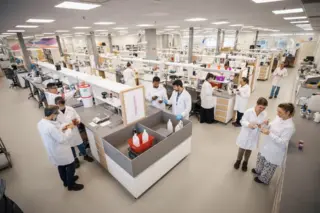 Laboratório amplo com pesquisadores de jaleco trabalhando em bancadas; placa 'maquiagem' visível em bancada central