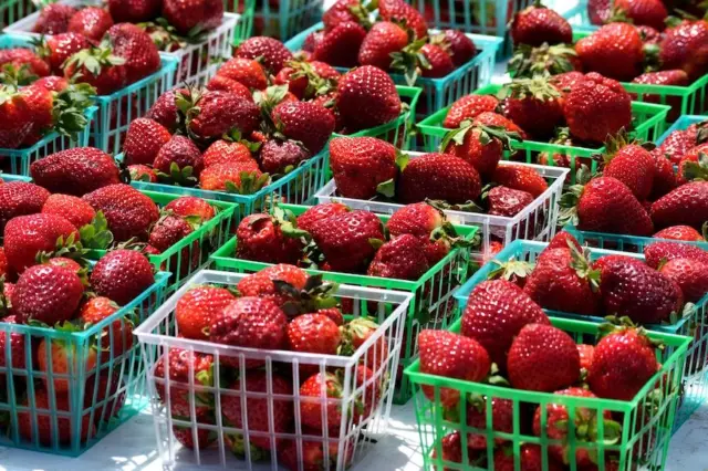 Frutas e verduras ilustram o planejamento das compras de hortifruti