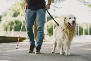 Pessoa caminhando segurando bengala longa branca com faixa vermelha e passeando com um cão-guia golden retriever