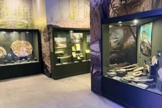 salas e vitrines do Museu de Paleontologia com fósseis e painéis ilustrativos
