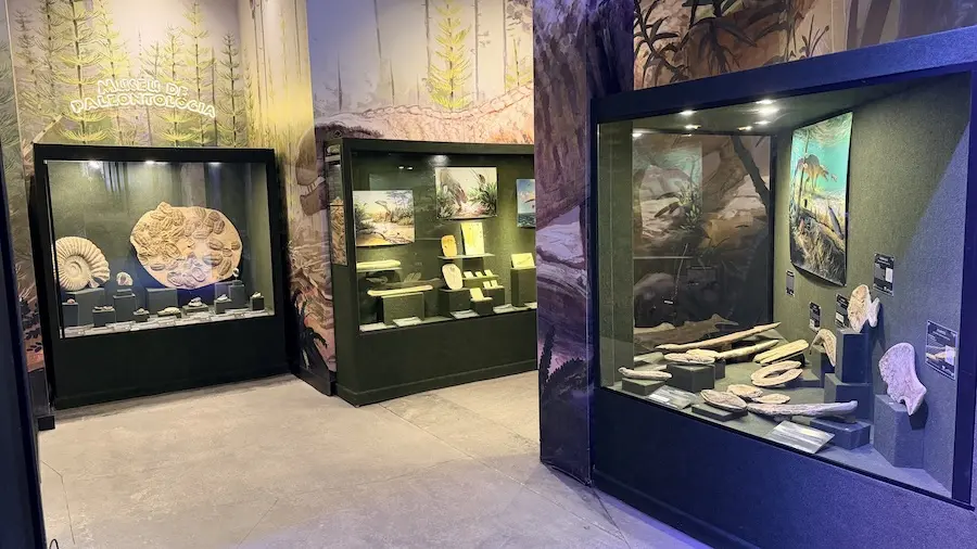 salas e vitrines do Museu de Paleontologia com fósseis e painéis ilustrativos