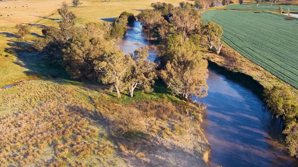 Vista aérea de rio sinuoso margeado por árvores, campos cultivados e pastagens